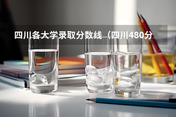 四川各大学录取分数线（四川480分左右的文科大学）