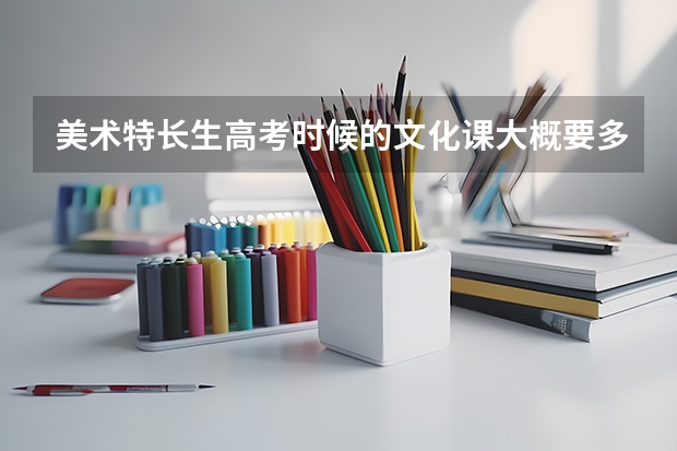 美术特长生高考时候的文化课大概要多少分？