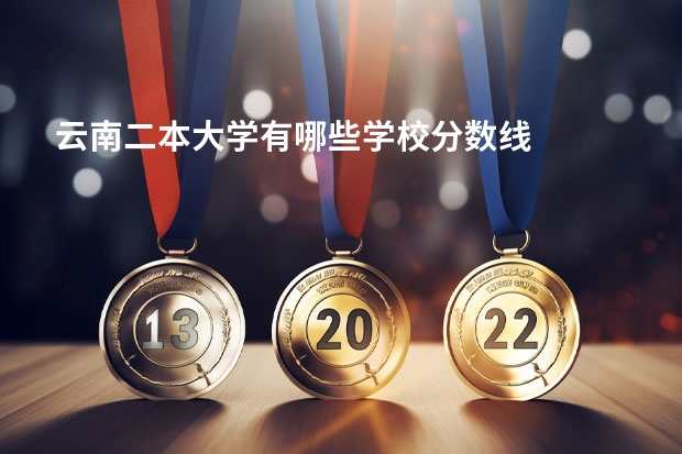 云南二本大学有哪些学校分数线