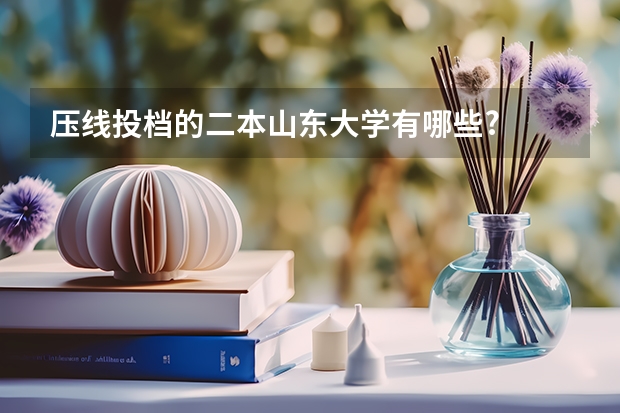 压线投档的二本山东大学有哪些?