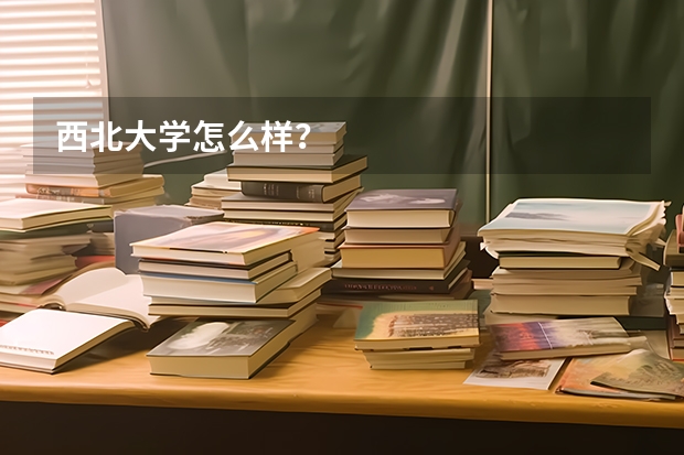 西北大学怎么样？