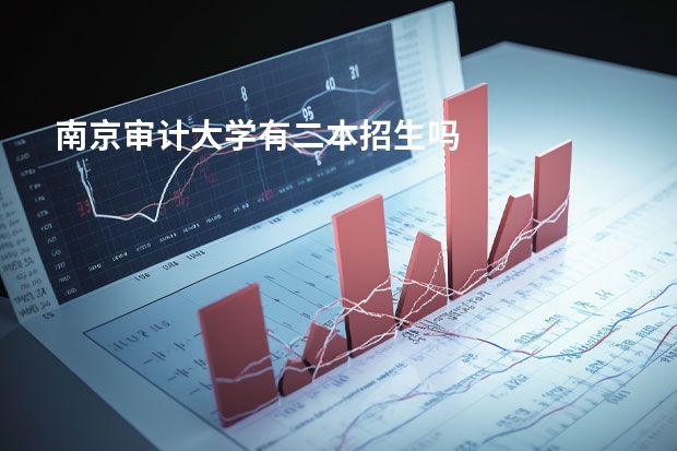 南京审计大学有二本招生吗