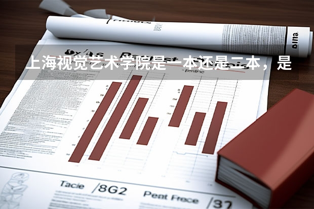 上海视觉艺术学院是一本还是二本，是民办的还是公办。其性质与上海其他哪些艺术类大学一样。