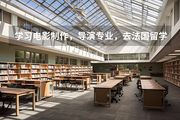 学习电影制作，导演专业，去法国留学好，还是英国留学（传媒艺考大学排名及分数线）