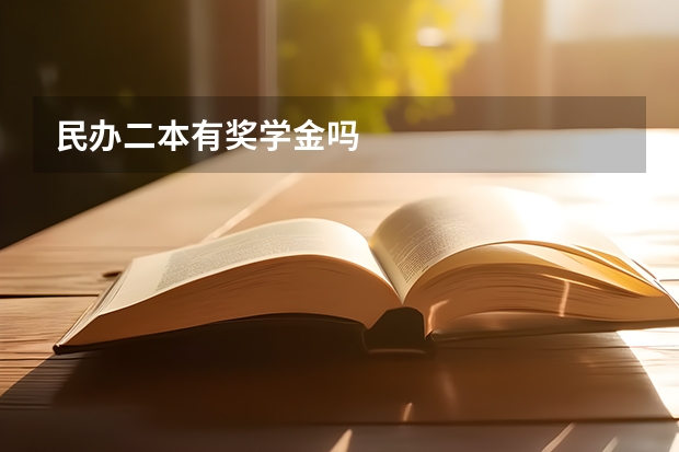 民办二本有奖学金吗