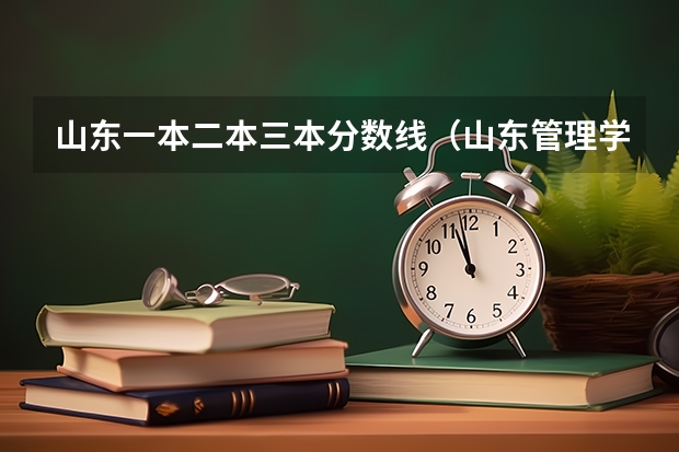 山东一本二本三本分数线（山东管理学院录取分数线）