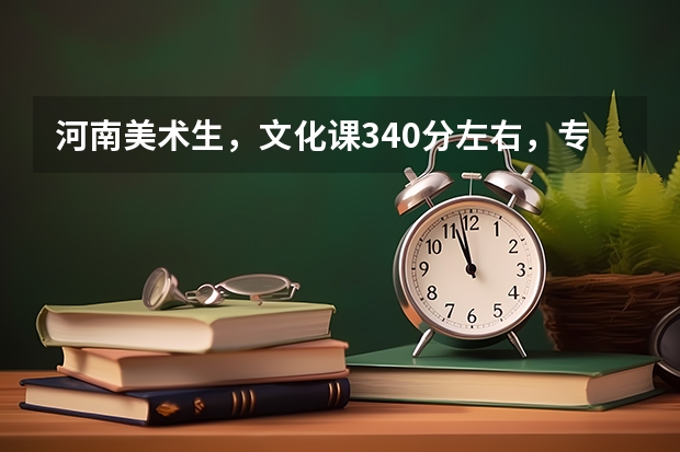 河南美术生，文化课340分左右，专业课194分能上本 郑州师范学院美术生录取分数线