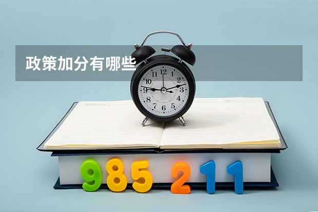 政策加分有哪些