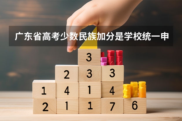 广东省高考少数民族加分是学校统一申请吗