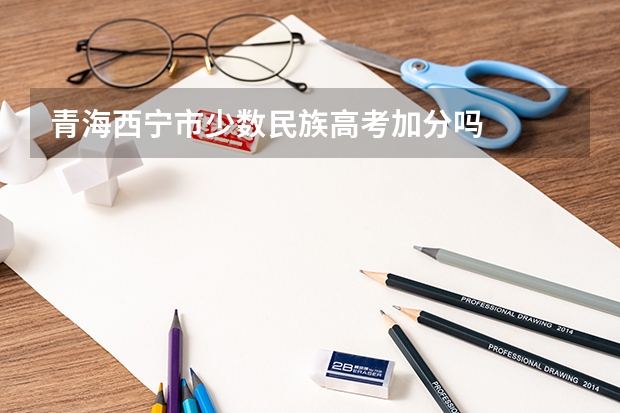 青海西宁市少数民族高考加分吗