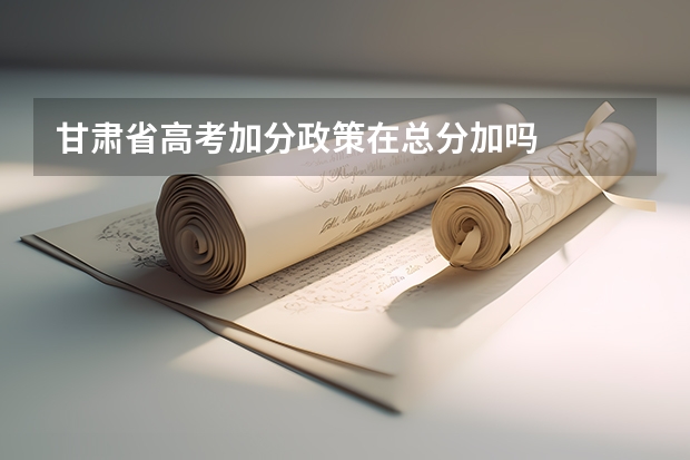 甘肃省高考加分政策在总分加吗