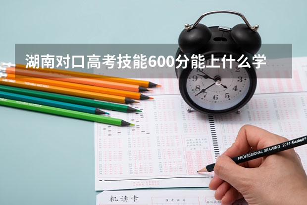 湖南对口高考技能600分能上什么学校