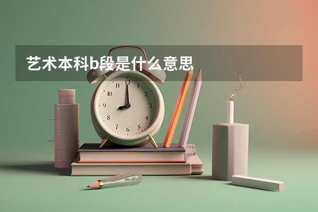 艺术本科b段是什么意思