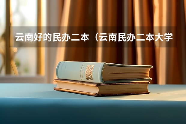 云南好的民办二本（云南民办二本大学排名）