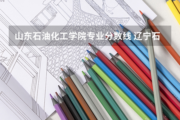 山东石油化工学院专业分数线 辽宁石油化工大学分数线