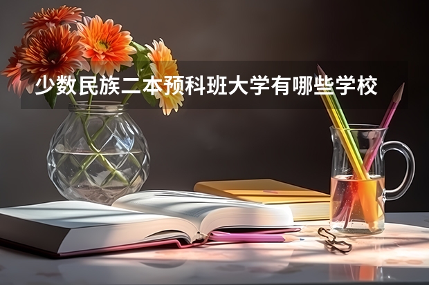 少数民族二本预科班大学有哪些学校