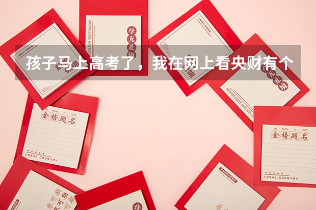 孩子马上高考了，我在网上看央财有个国际本科2+2那种，这模式适合我们孩子吗？