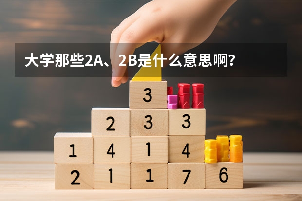 大学那些2A、2B是什么意思啊？