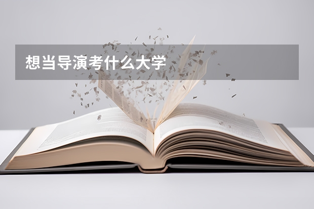 想当导演考什么大学