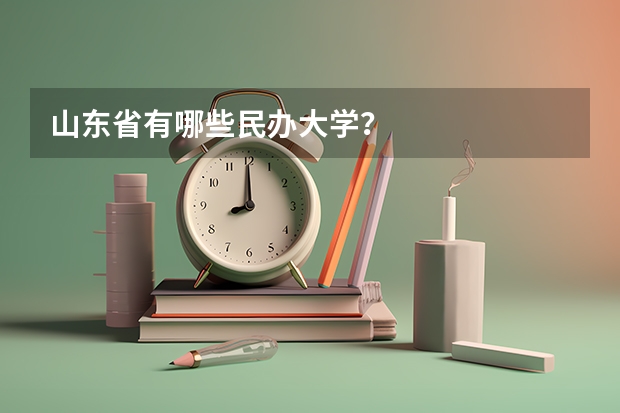 山东省有哪些民办大学？