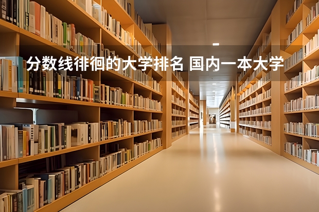 分数线徘徊的大学排名 国内一本大学排名及分数线