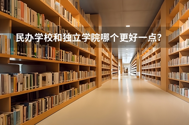民办学校和独立学院哪个更好一点？