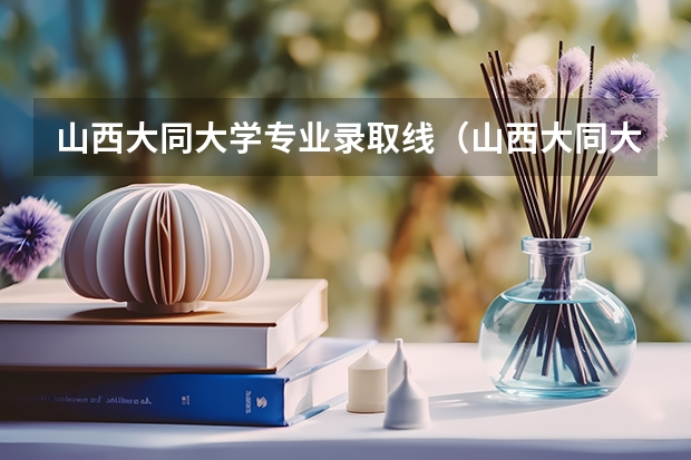 山西大同大学专业录取线（山西大同大学录取分数线）