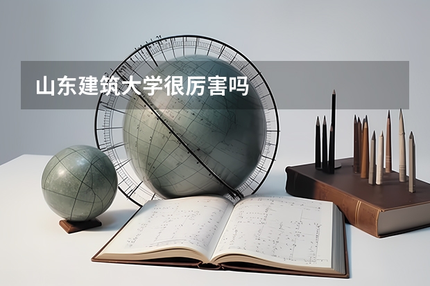 山东建筑大学很厉害吗