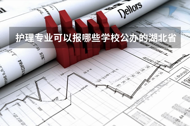 护理专业可以报哪些学校公办的湖北省