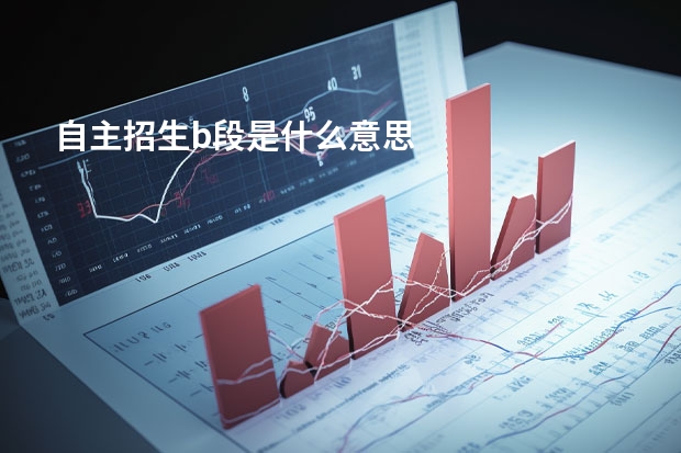自主招生b段是什么意思