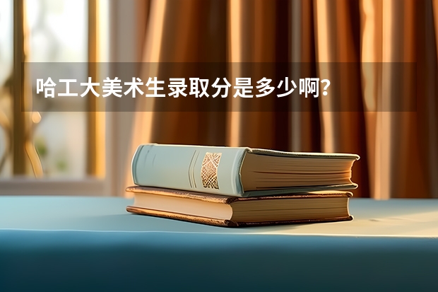 哈工大美术生录取分是多少啊？
