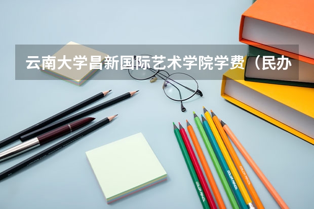 云南大学昌新国际艺术学院学费（民办二本学费）