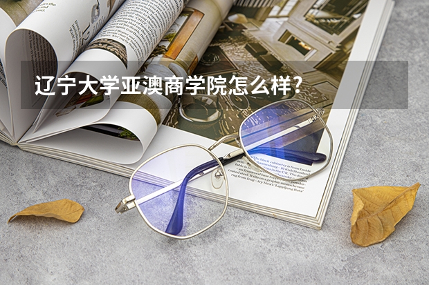 辽宁大学亚澳商学院怎么样?
