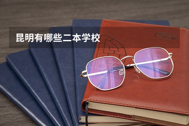 昆明有哪些二本学校