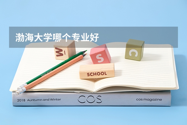 渤海大学哪个专业好