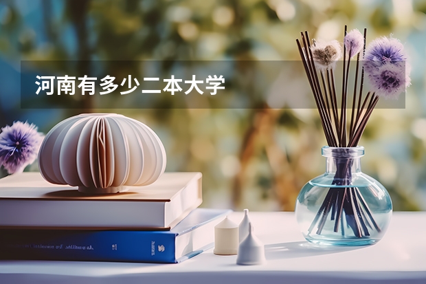 河南有多少二本大学