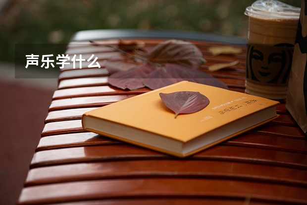 声乐学什么