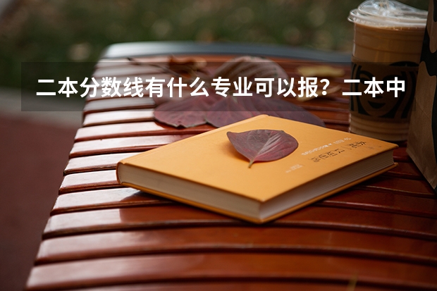二本分数线有什么专业可以报？二本中有哪些专业就业方面是机会比较多的？