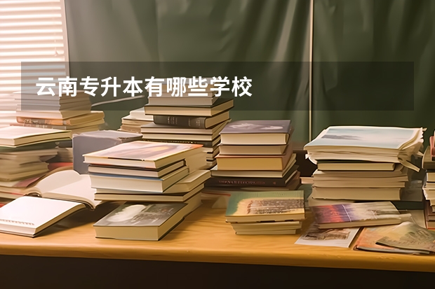 云南专升本有哪些学校