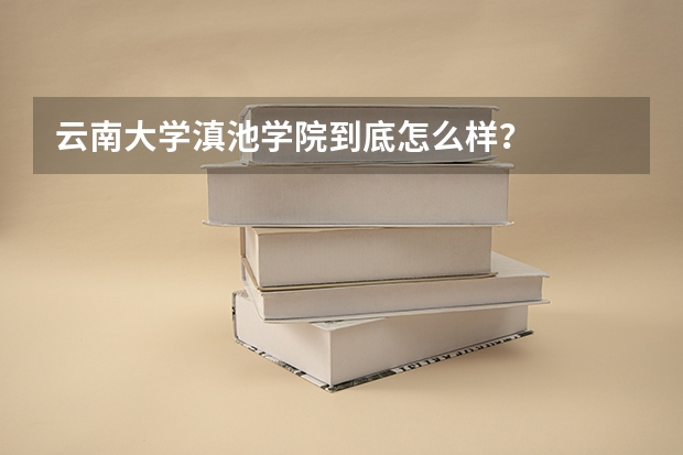 云南大学滇池学院到底怎么样？