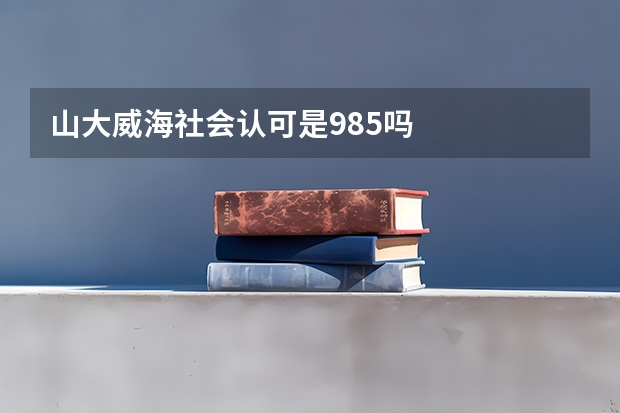 山大威海社会认可是985吗