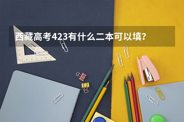 西藏高考423有什么二本可以填？