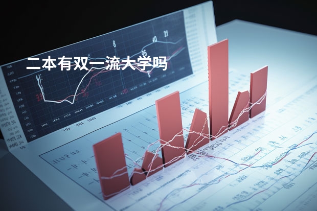 二本有双一流大学吗