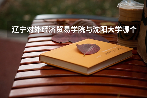 辽宁对外经济贸易学院与沈阳大学哪个好