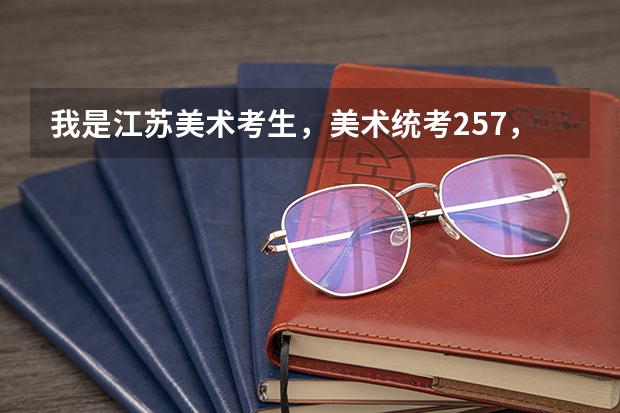 我是江苏美术考生，美术统考257，文化分264，省内能上哪些学校？