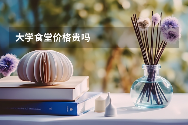大学食堂价格贵吗