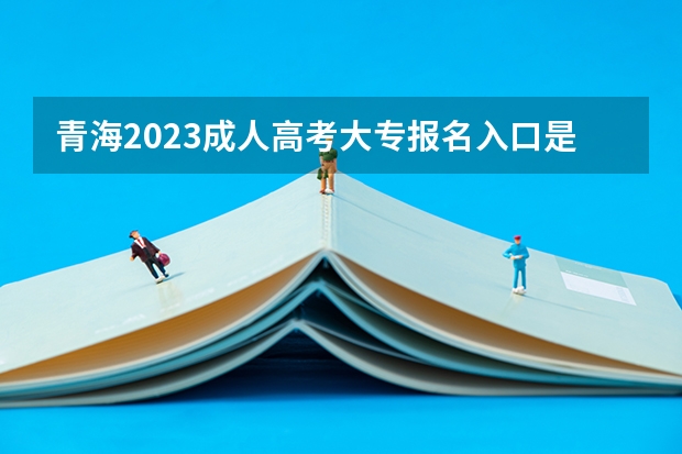 青海2023成人高考大专报名入口是哪个 报考网址是什么？
