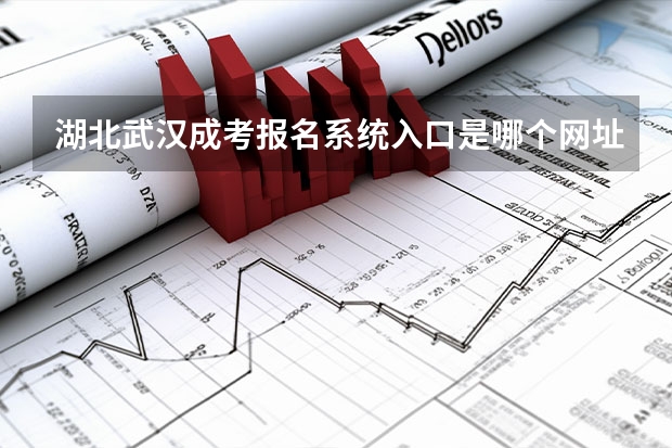 湖北武汉成考报名系统入口是哪个网址？