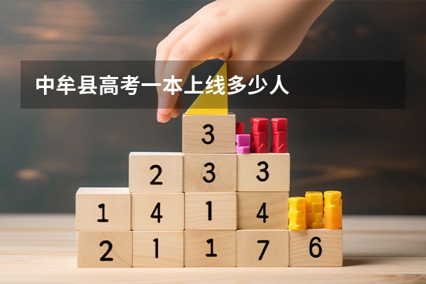 中牟县高考一本上线多少人