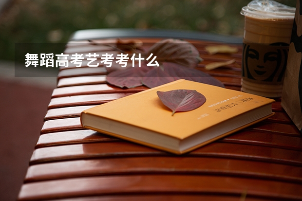 舞蹈高考艺考考什么